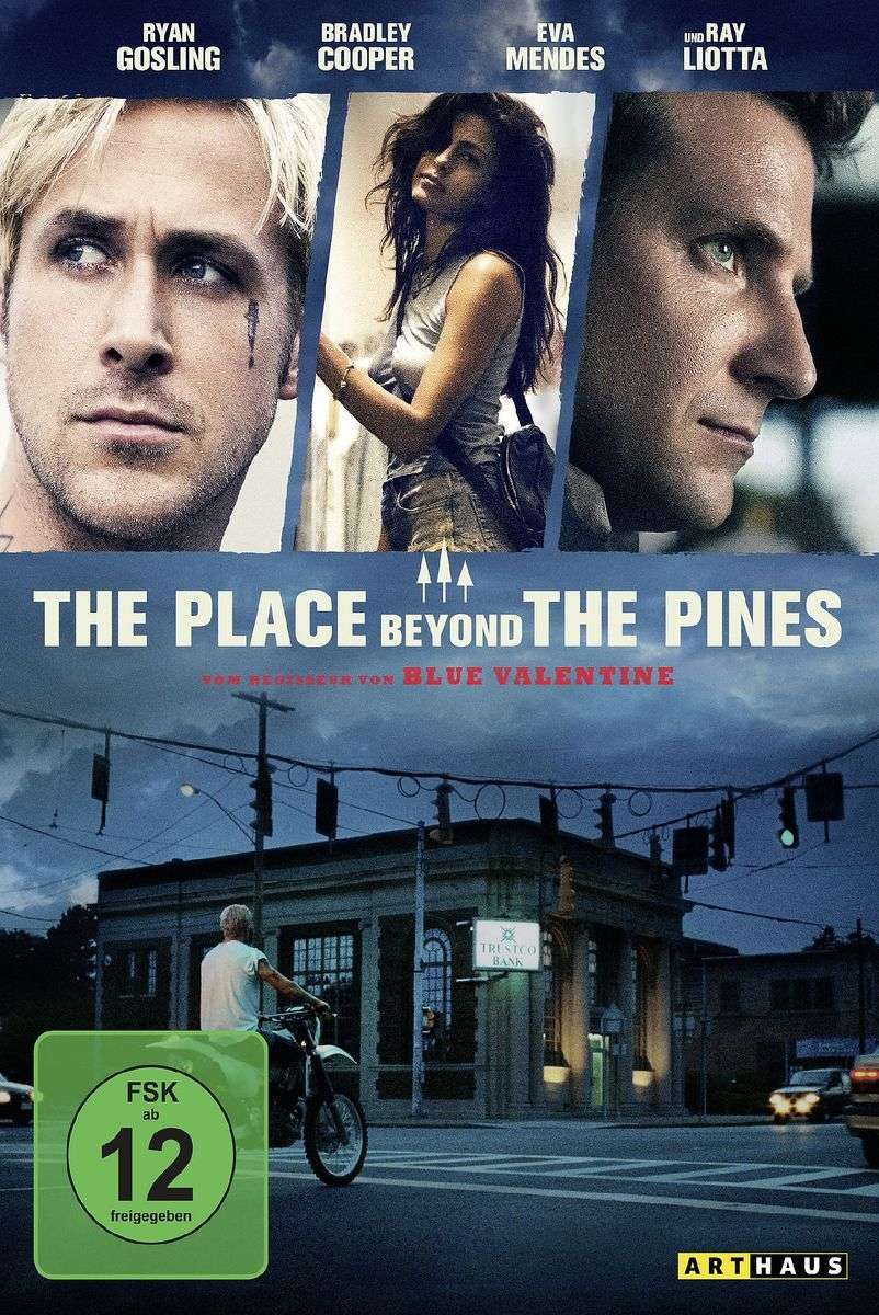 DVD-Cover "The Place Beyond the Pines"