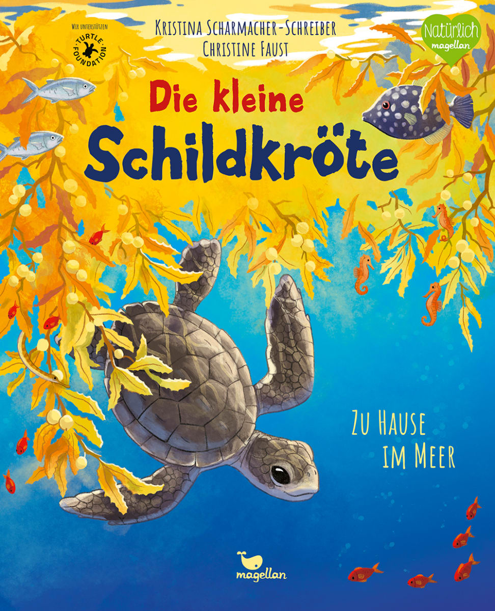 Bilderbuchkino: Die kleine Schildkröte - Zu Hause im Meer